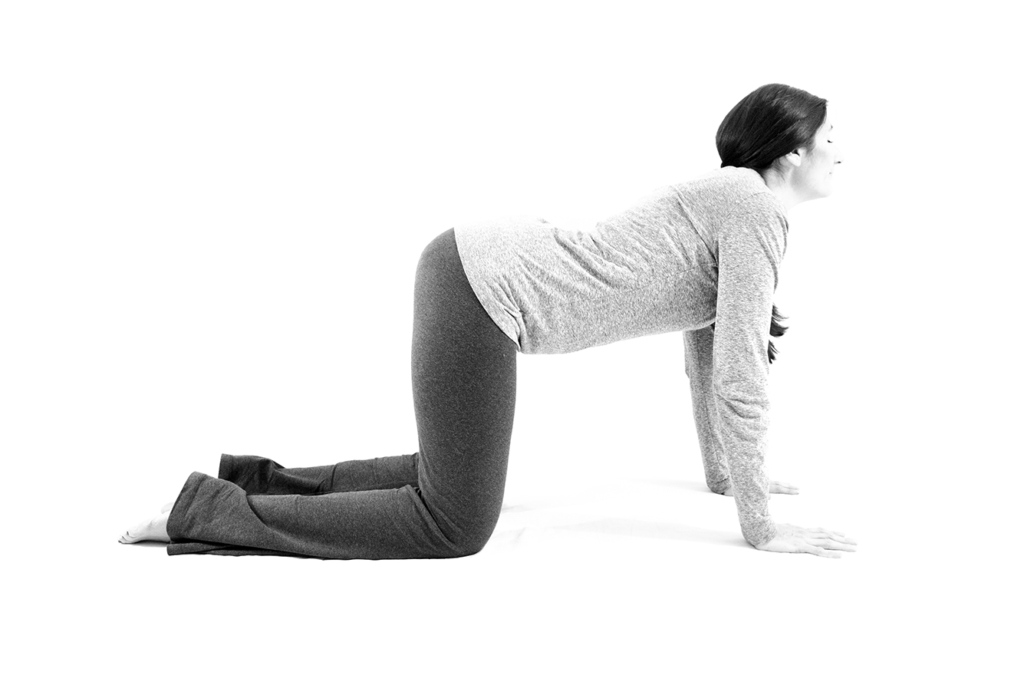 Cow Pose from Yoga for Low Back and Hip Healthy by Cyndi Roberts